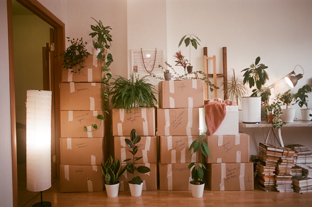 Cartons de déménagement empilés dans un salon, avec des plantes, prêts pour le transport